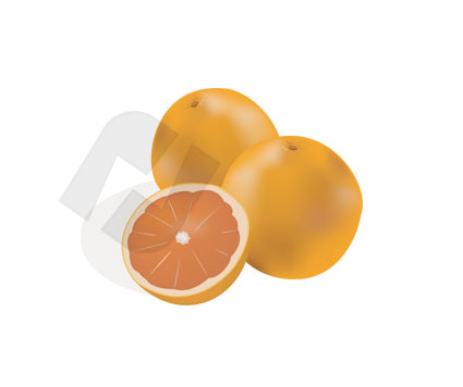 Orange Clipart #00179
