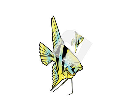 clip art fish. Tropical Fish Clipart #00250