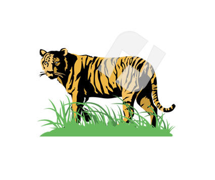 Tiger Clipart #00253