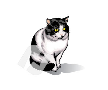 Cat Clipart #00254